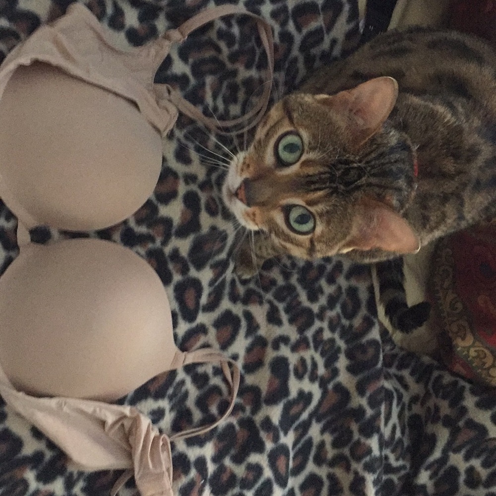 Victoria Secret Very Sexy Bra 34 D